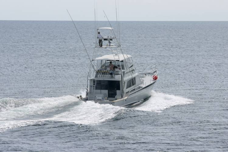 fishing charter water activities on marco island